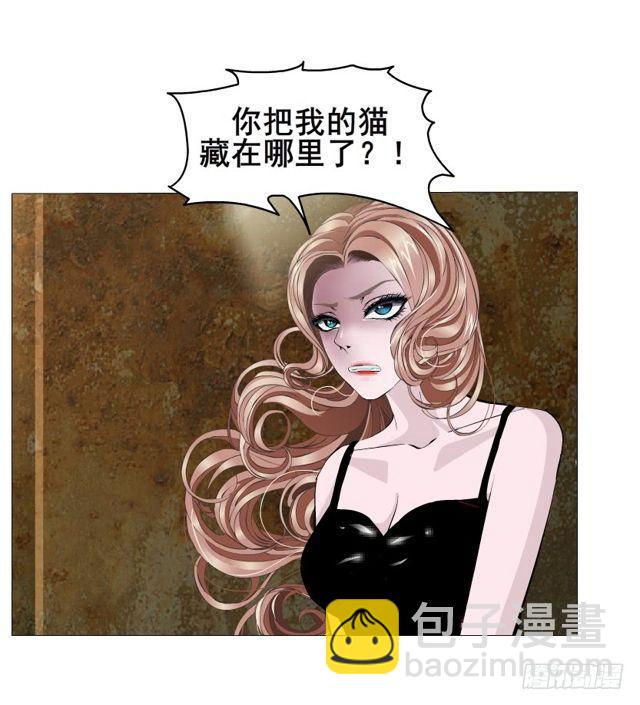 第二季 第20集 猫咪危机(1/2)-第144话