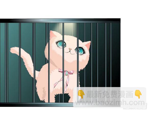 第二季 第20集 猫咪危机(1/2)-第144话