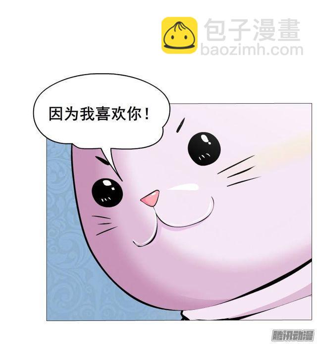 第44集 猫先生的守护-第48话