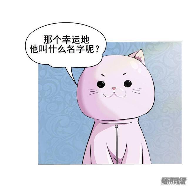 第44集 猫先生的守护-第48话