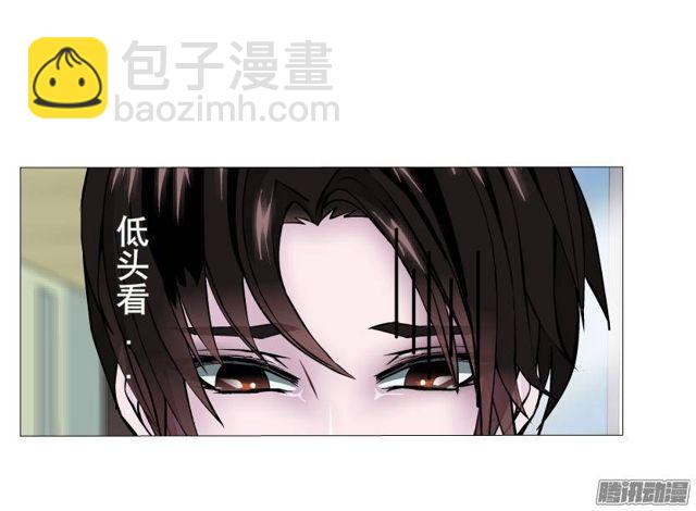 第44集 猫先生的守护-第48话