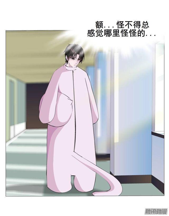 第44集 猫先生的守护-第48话