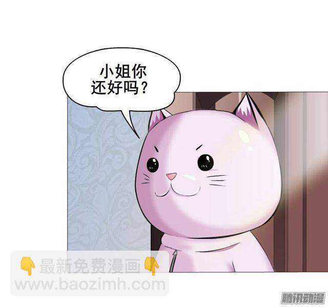 第44集 猫先生的守护-第48话