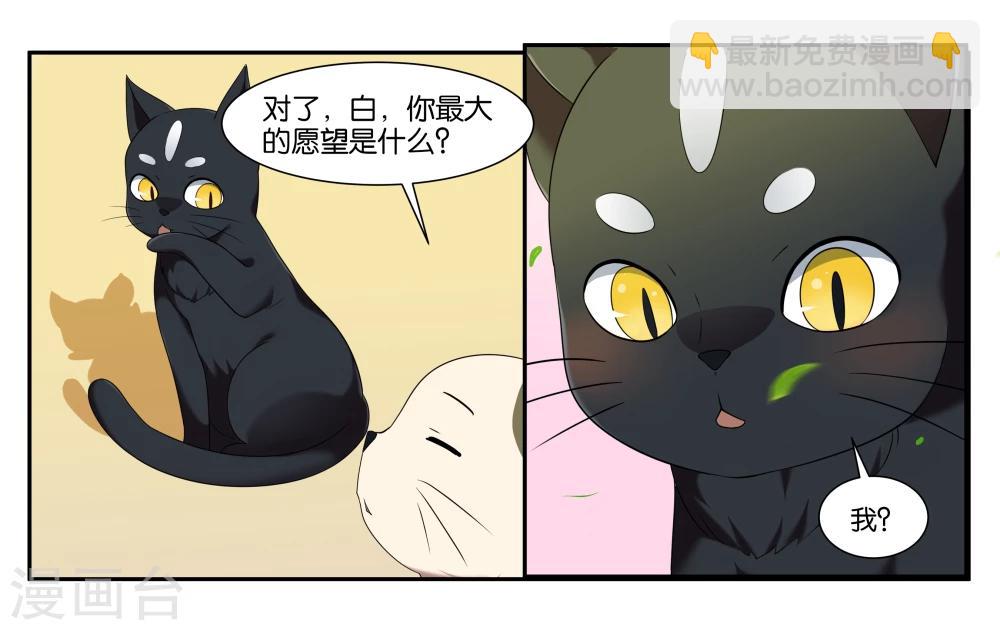 第14话 实现愿望的人-第16话