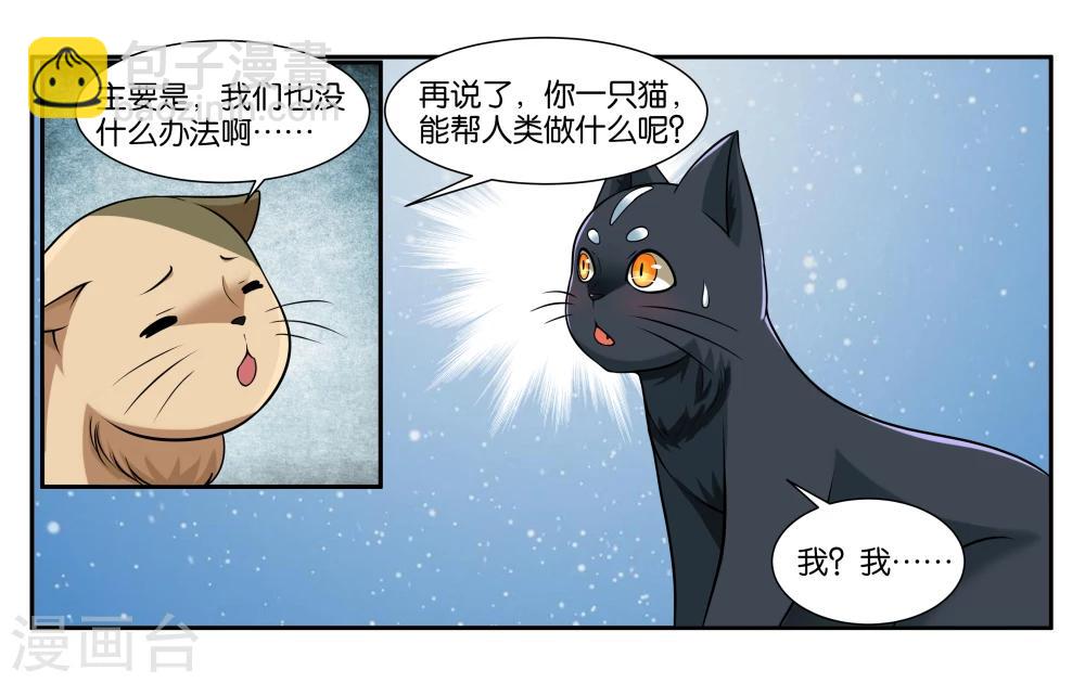 第16话 迷路的小猫咪-第18话