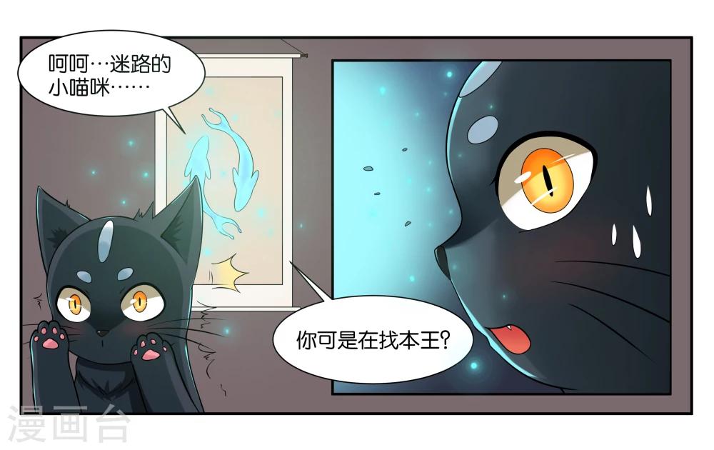 第16话 迷路的小猫咪-第18话
