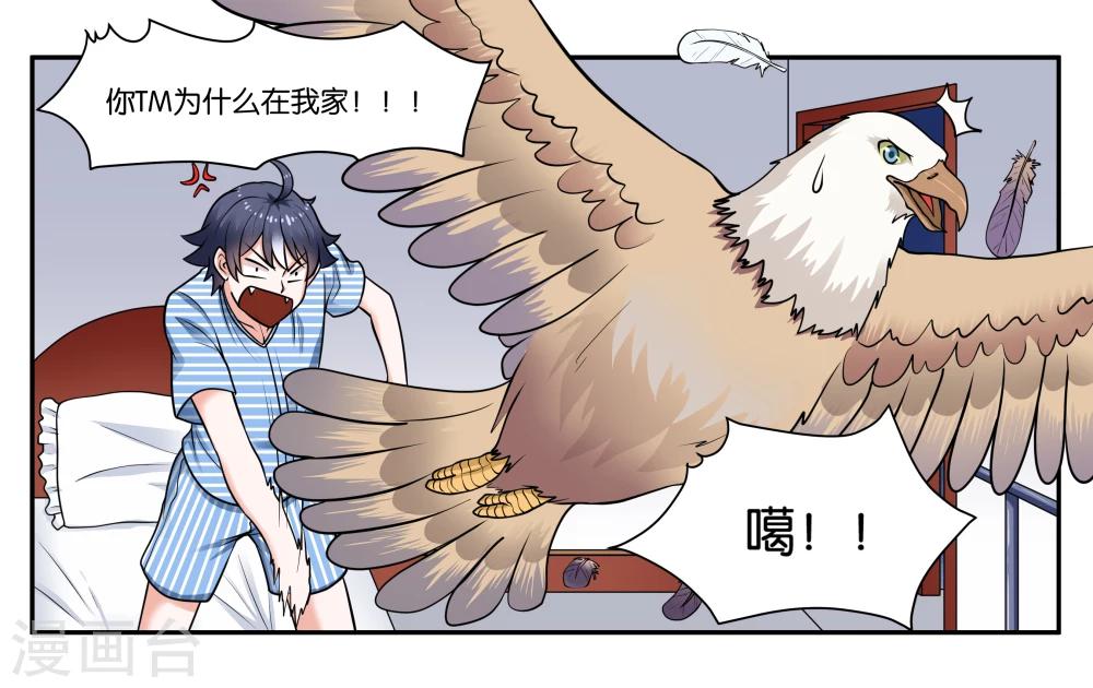 第26话 江临古镇博物馆-第28话