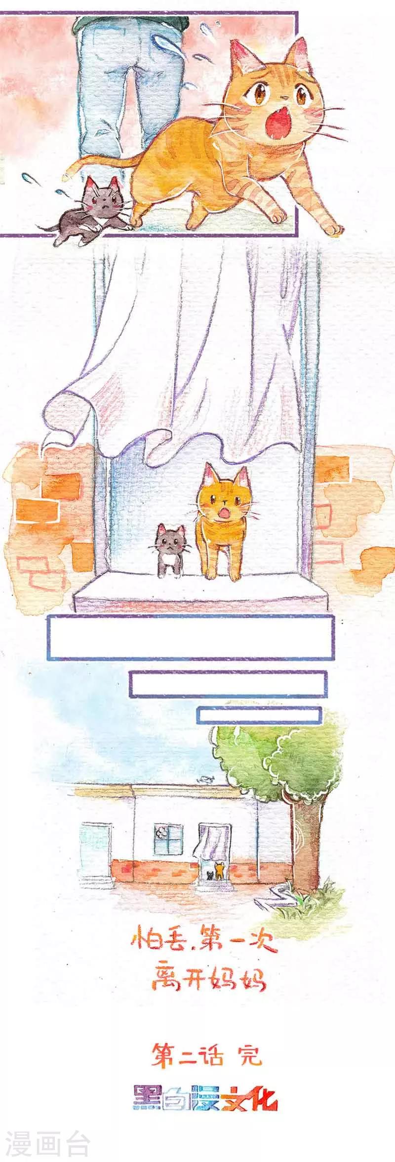 第2话 抓怕丢咯-第2话