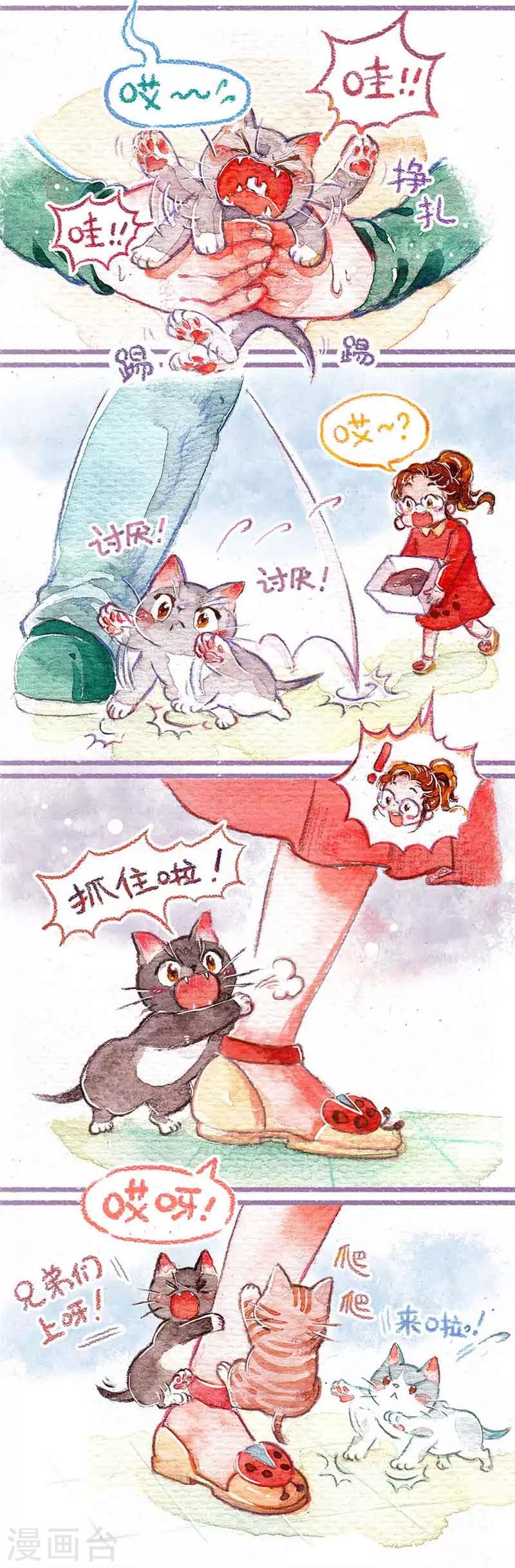 第2话 抓怕丢咯-第2话