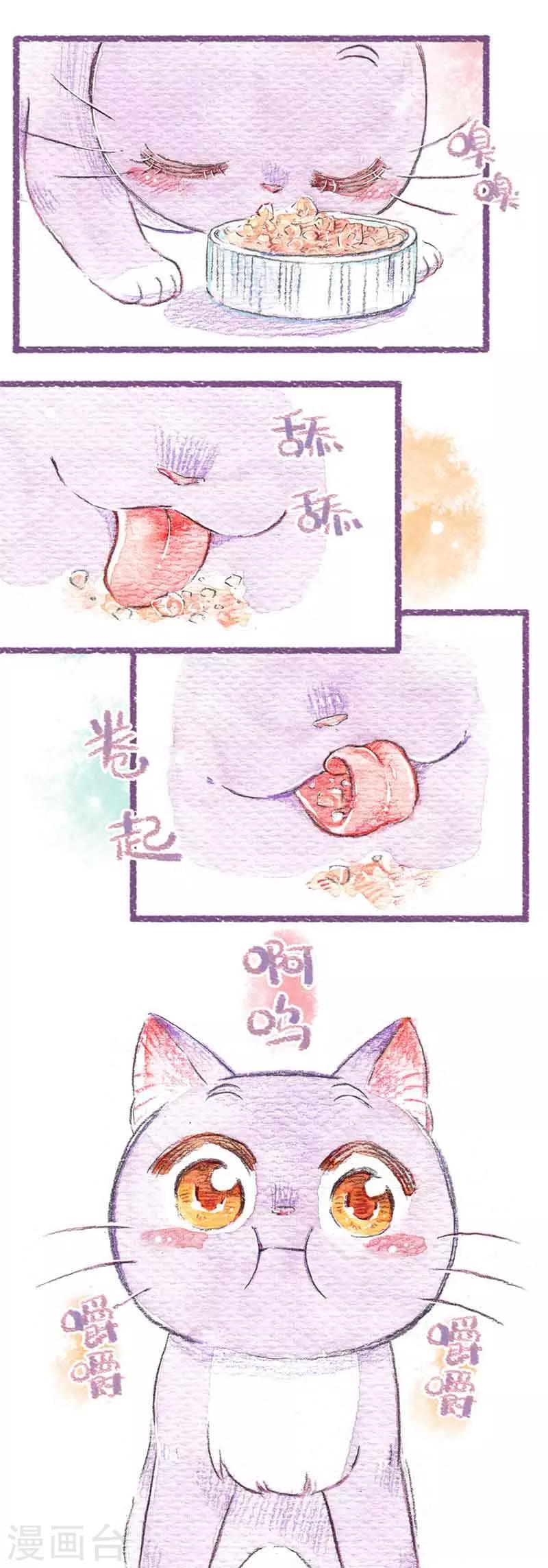 第14话 买买买！-第14话