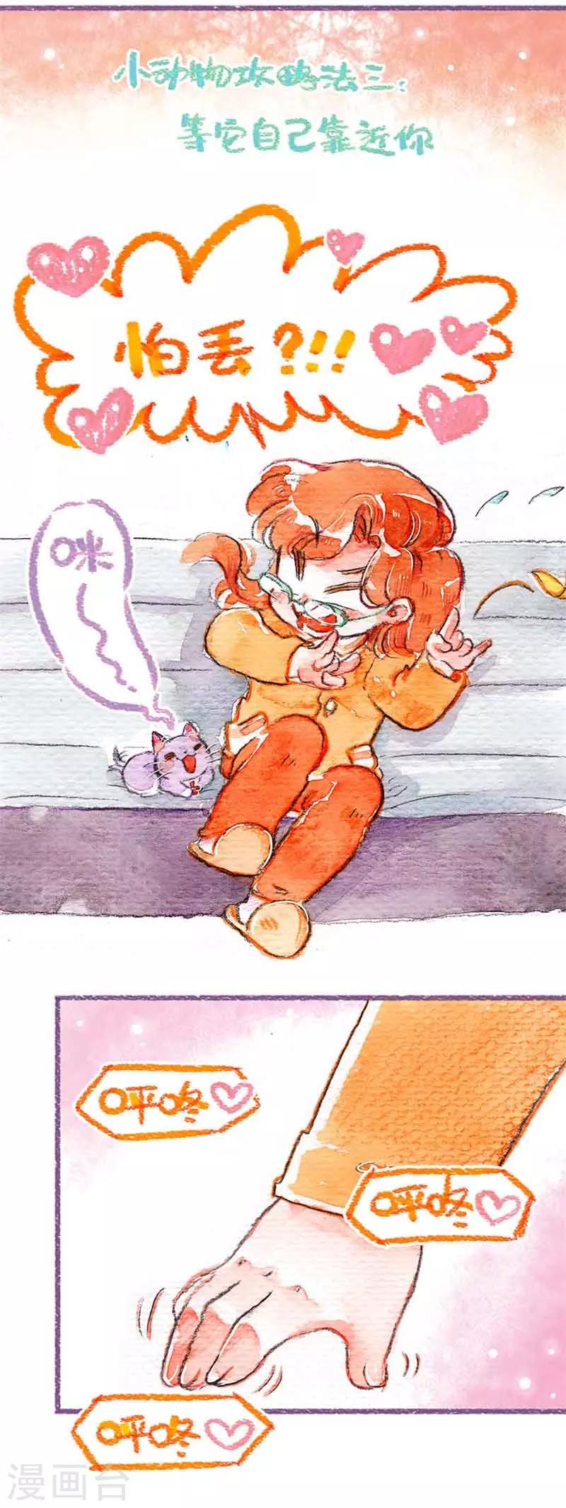 第18话 小动物攻略-第18话