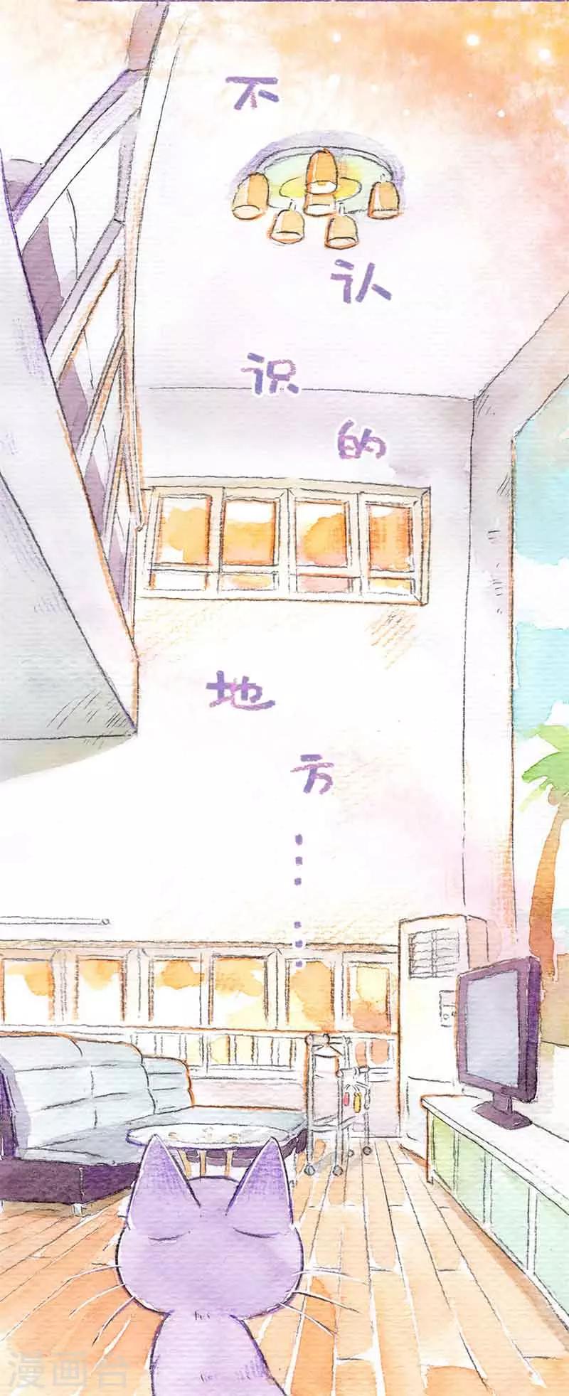 第18话 小动物攻略-第18话