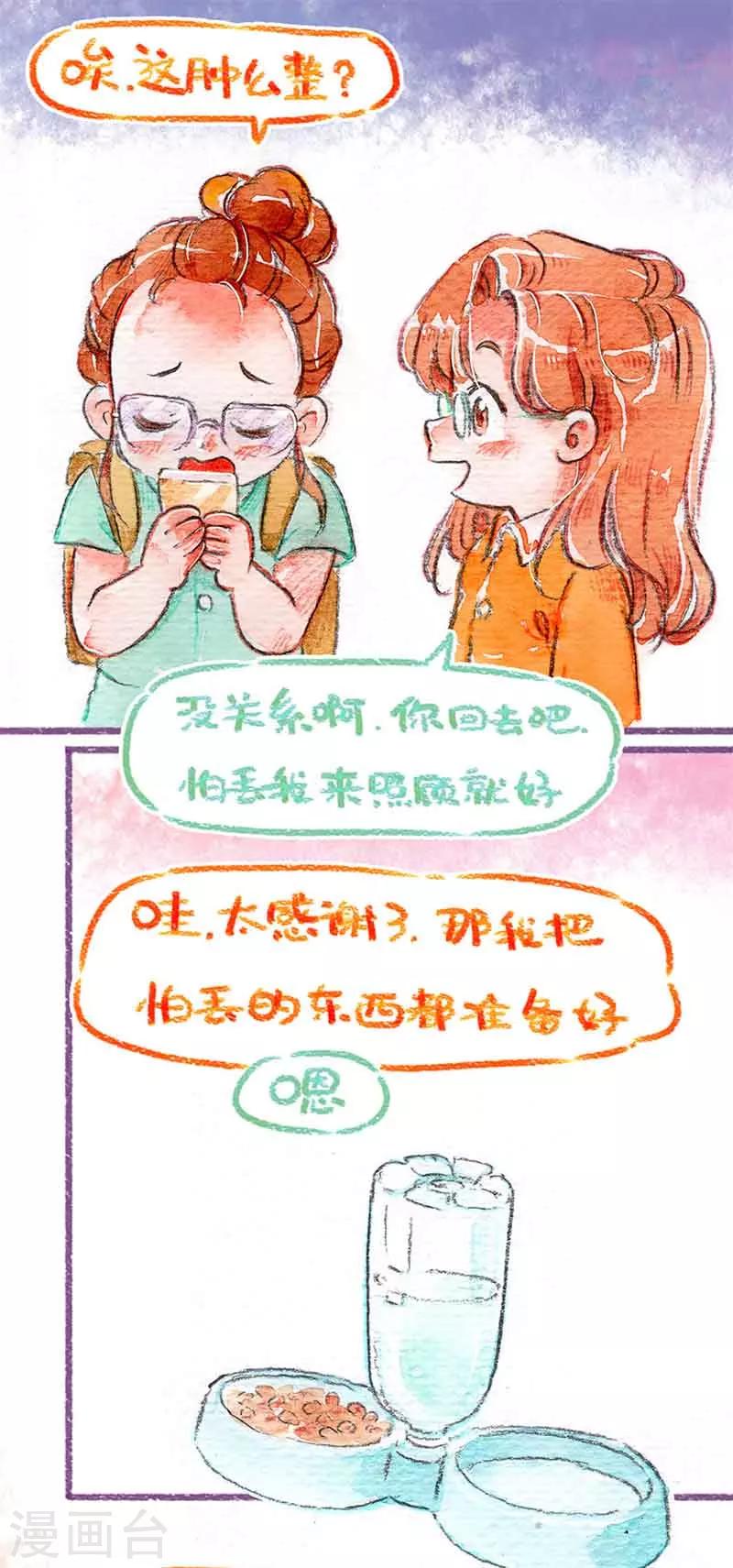 第18话 小动物攻略-第18话