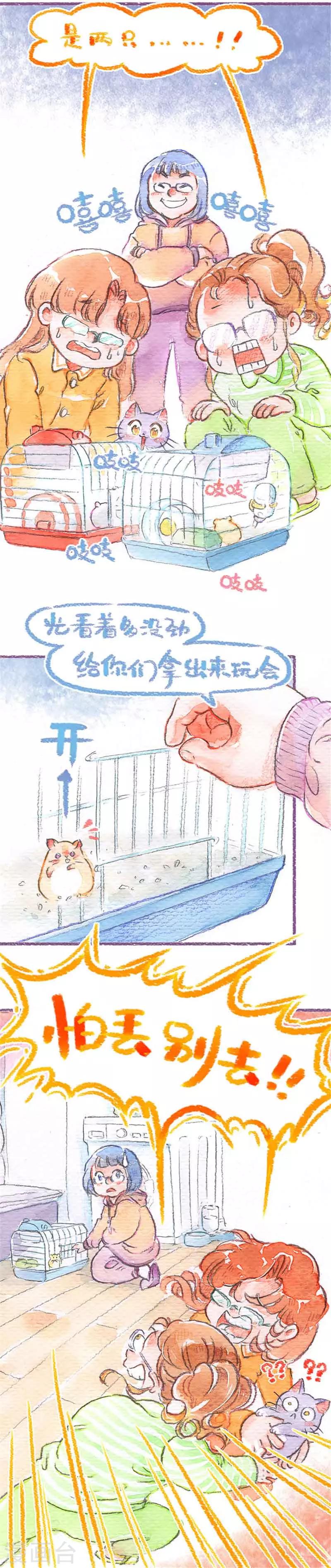 第20话 仓鼠快跑-第20话