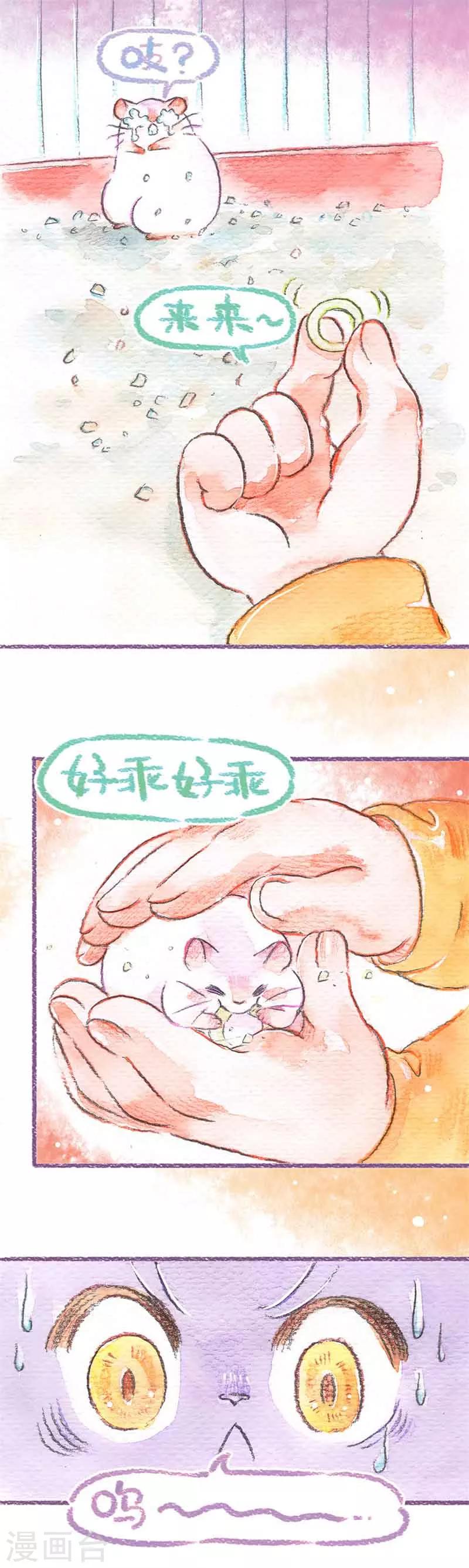 第20话 仓鼠快跑-第20话