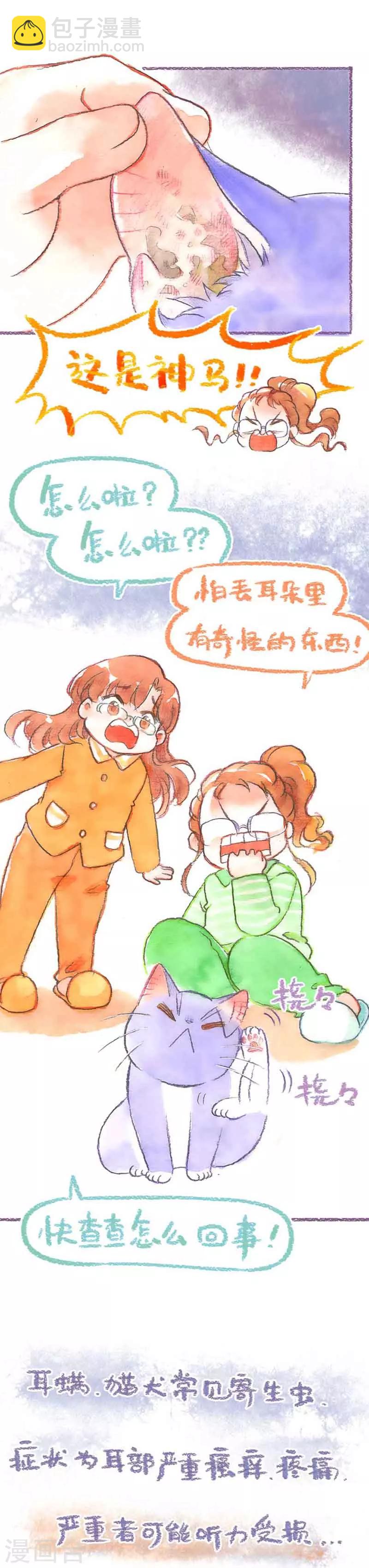 第34话 耳螨-第34话