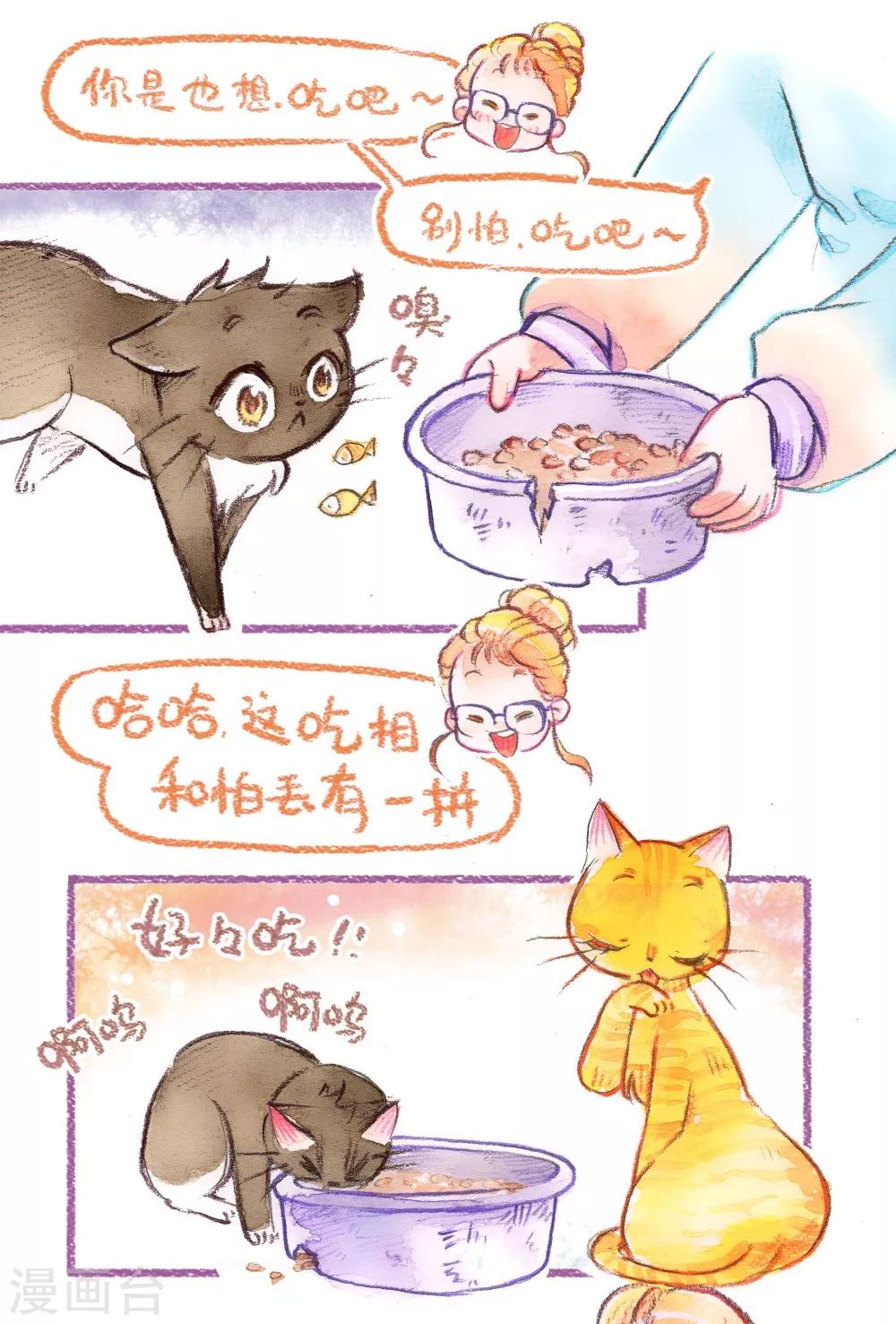 第41话 探望英雄母亲（上）-第42话