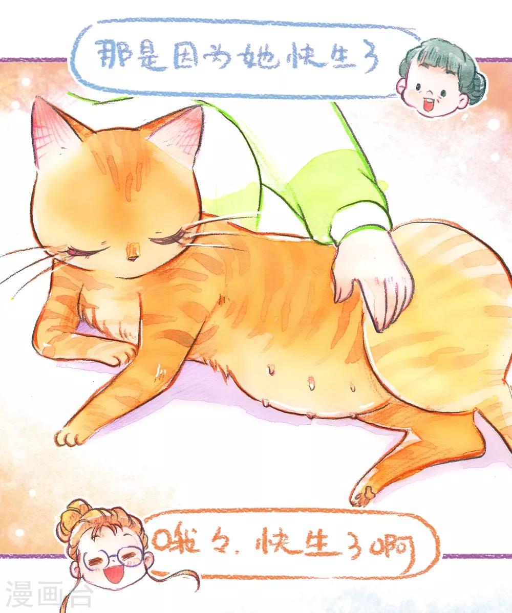 第41话 探望英雄母亲（上）-第42话