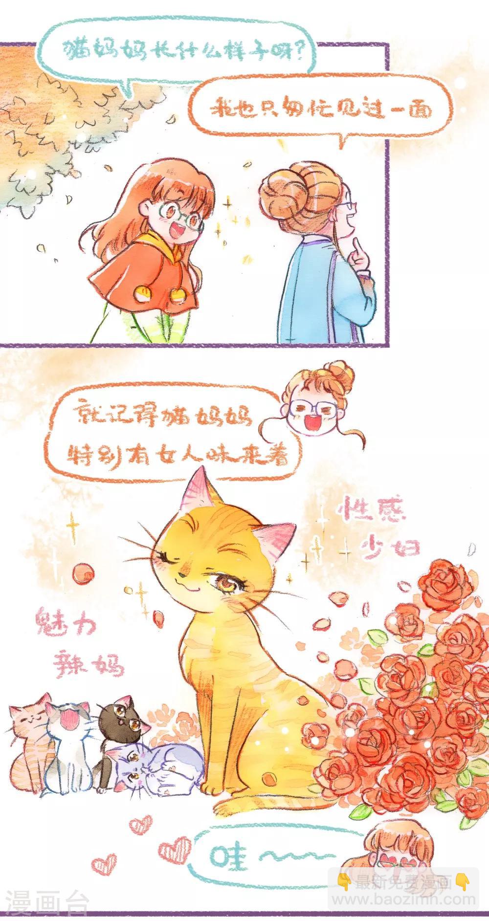 第41话 探望英雄母亲（上）-第42话