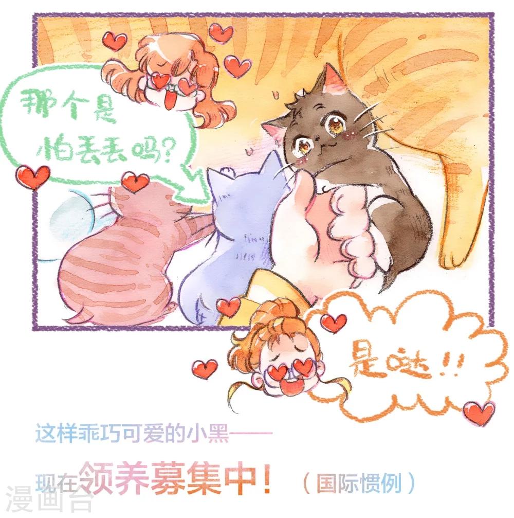 第43话 找领养（上）-第44话