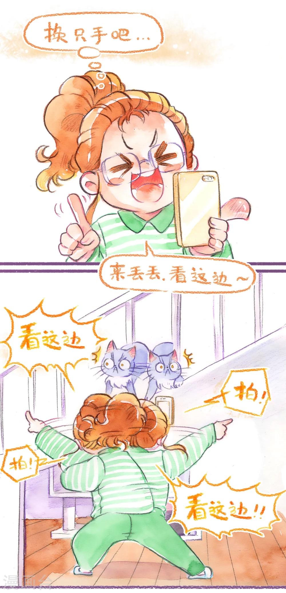 第43话 找领养（上）-第44话