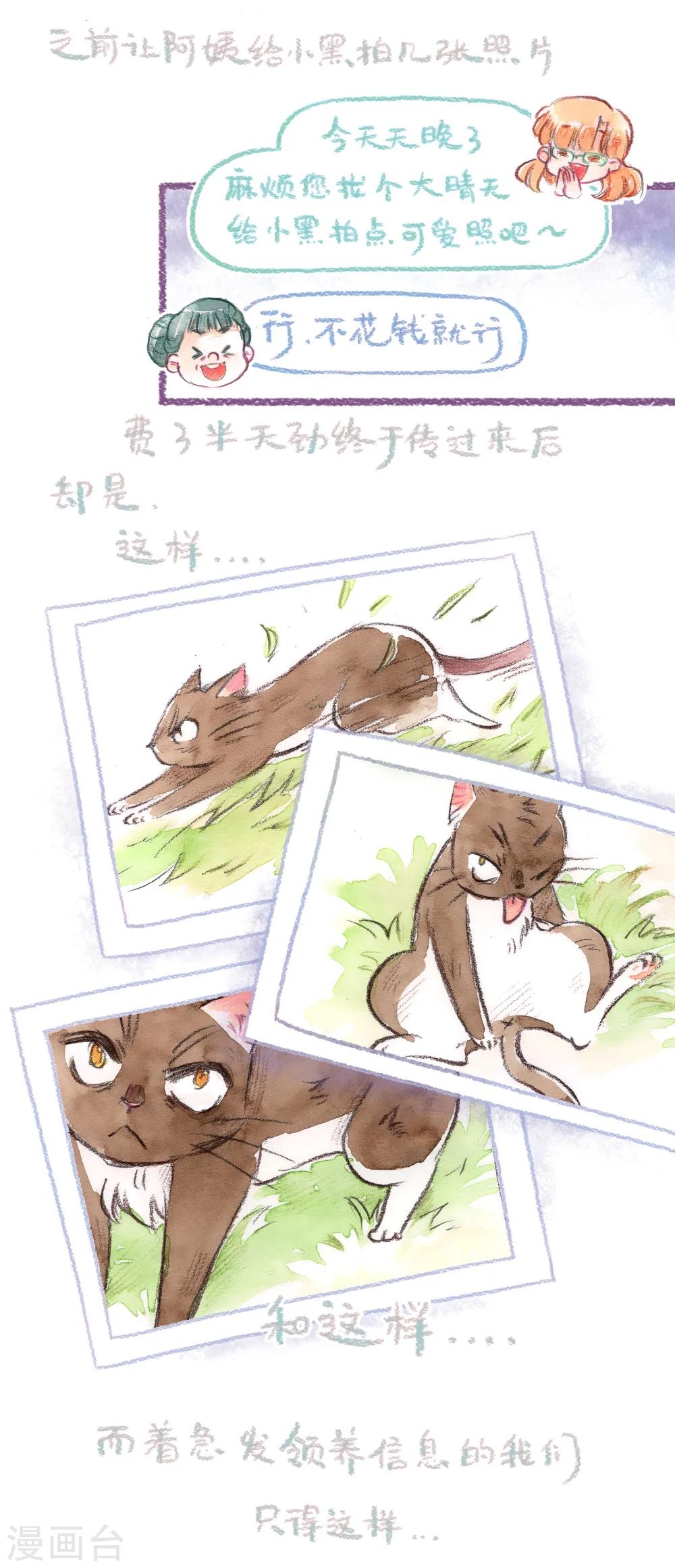 第43话 找领养（上）-第44话