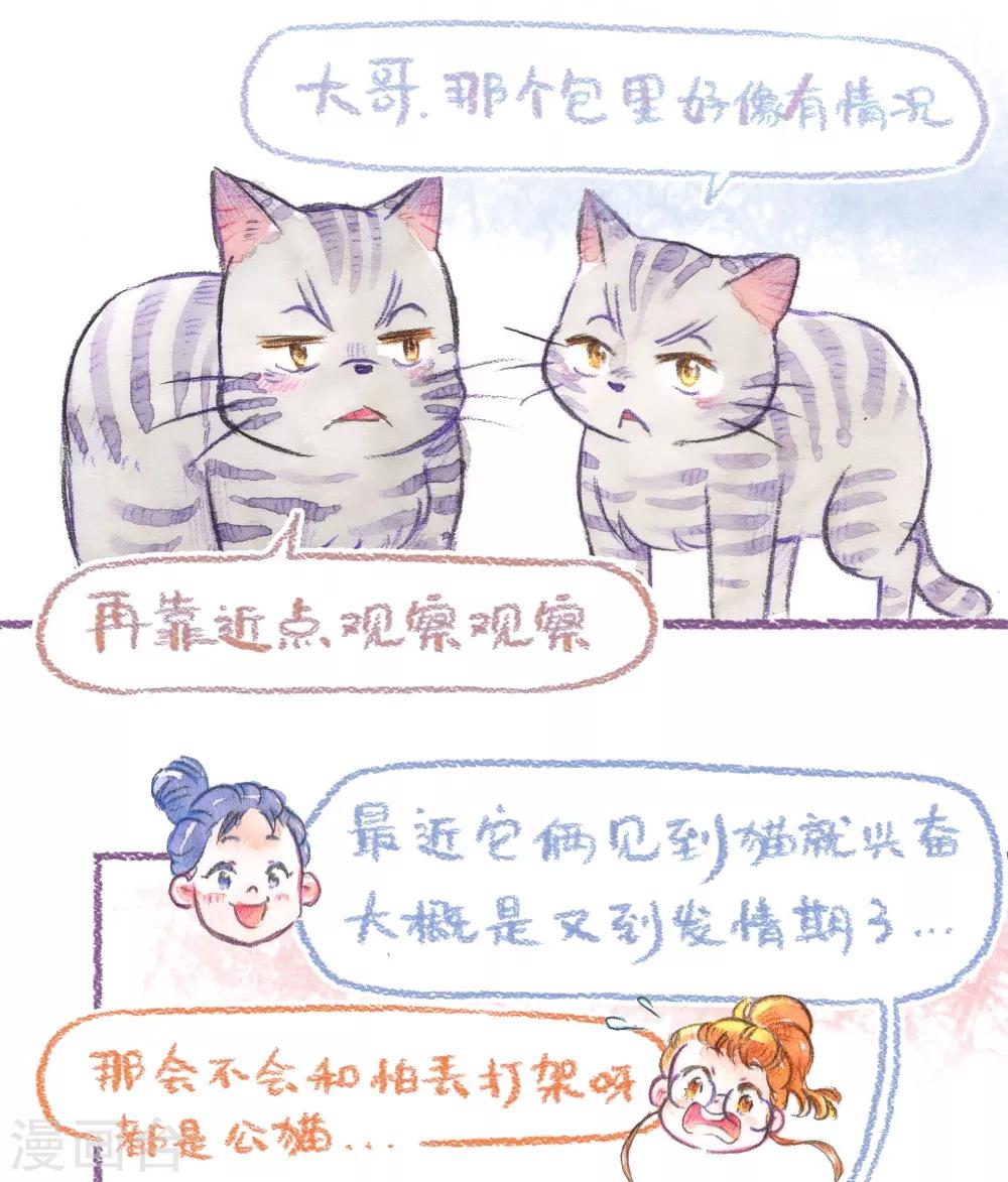 第49话 做客-第50话