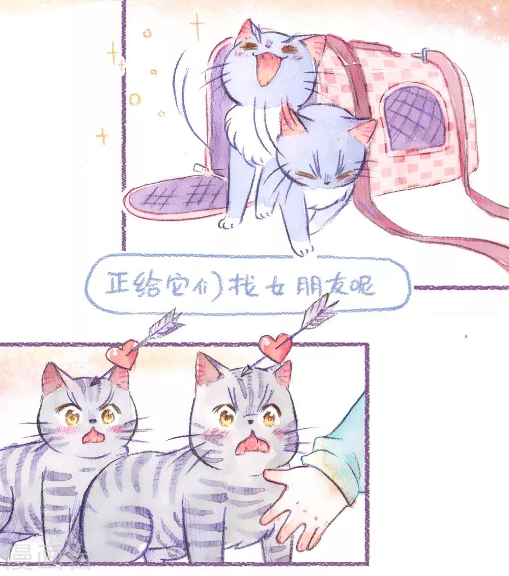 第49话 做客-第50话