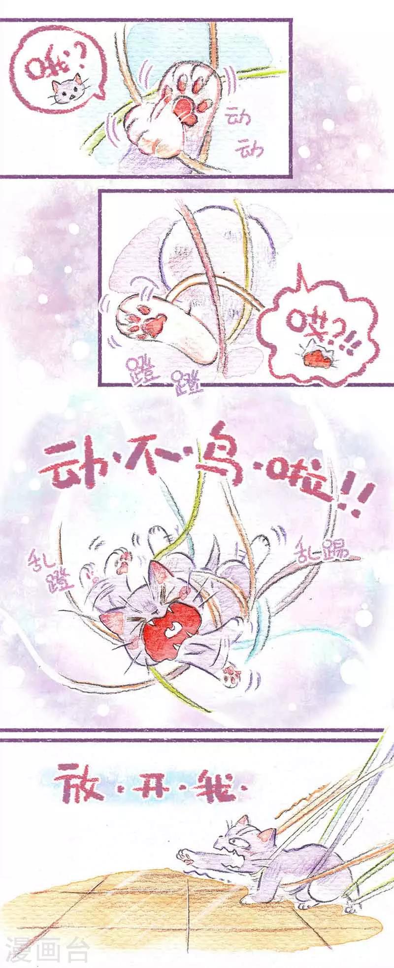 第6话 第一个夜晚-第6话