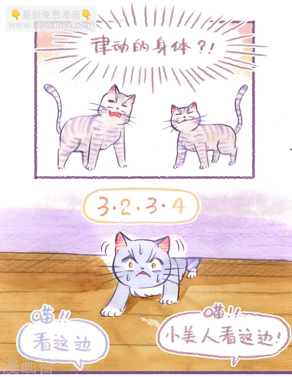 第51话 一起摇摆-第52话