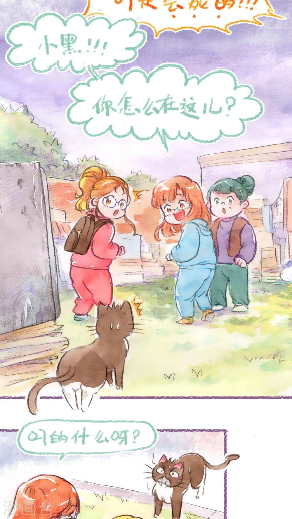 第52话 找小猫(上)-第54话