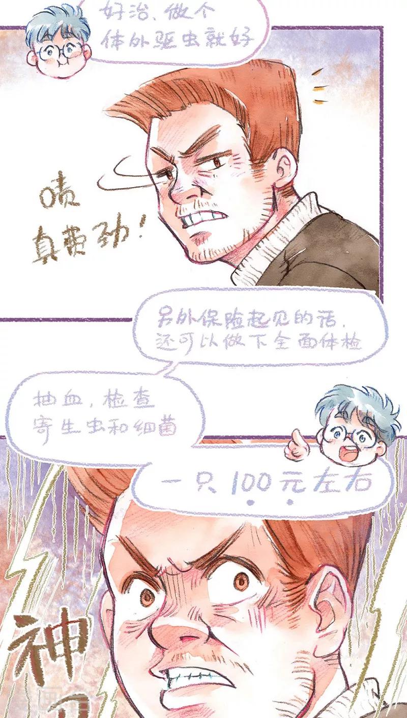 第62话 约定-第66话