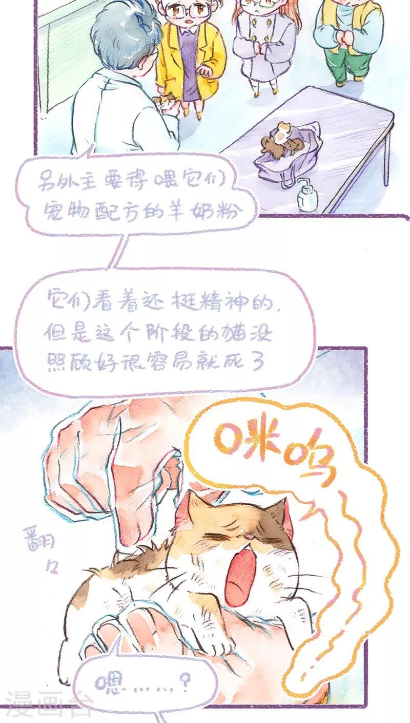 第62话 约定-第66话