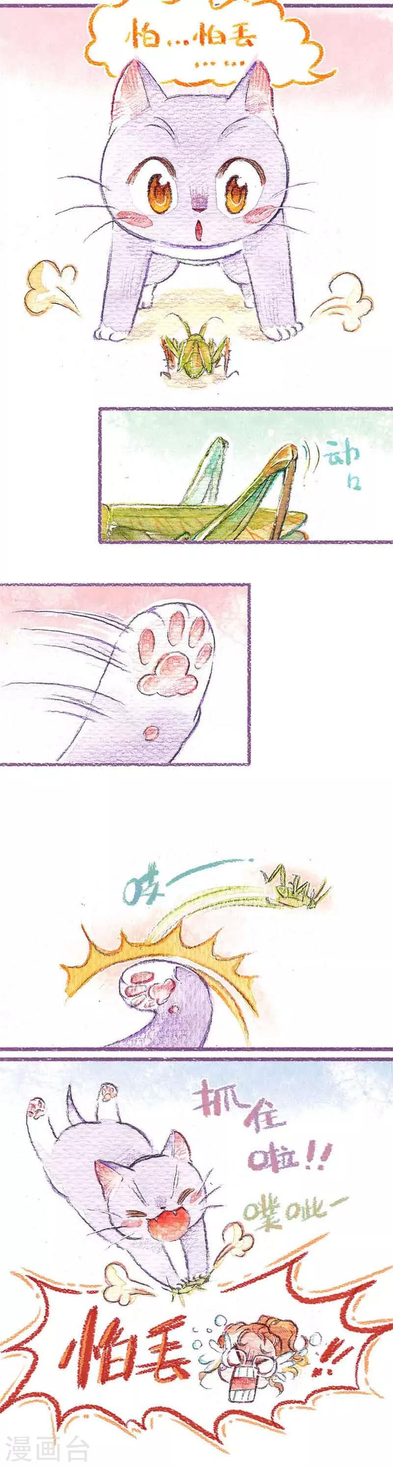 第8话 大扫除(2)-第8话