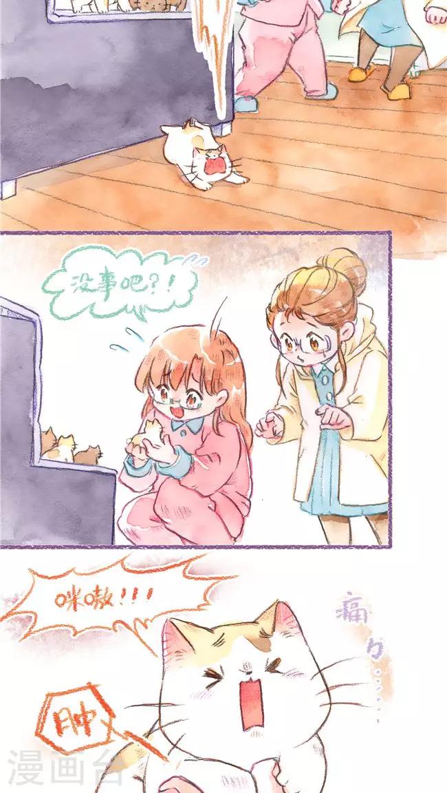 第73话 保险起见-第78话