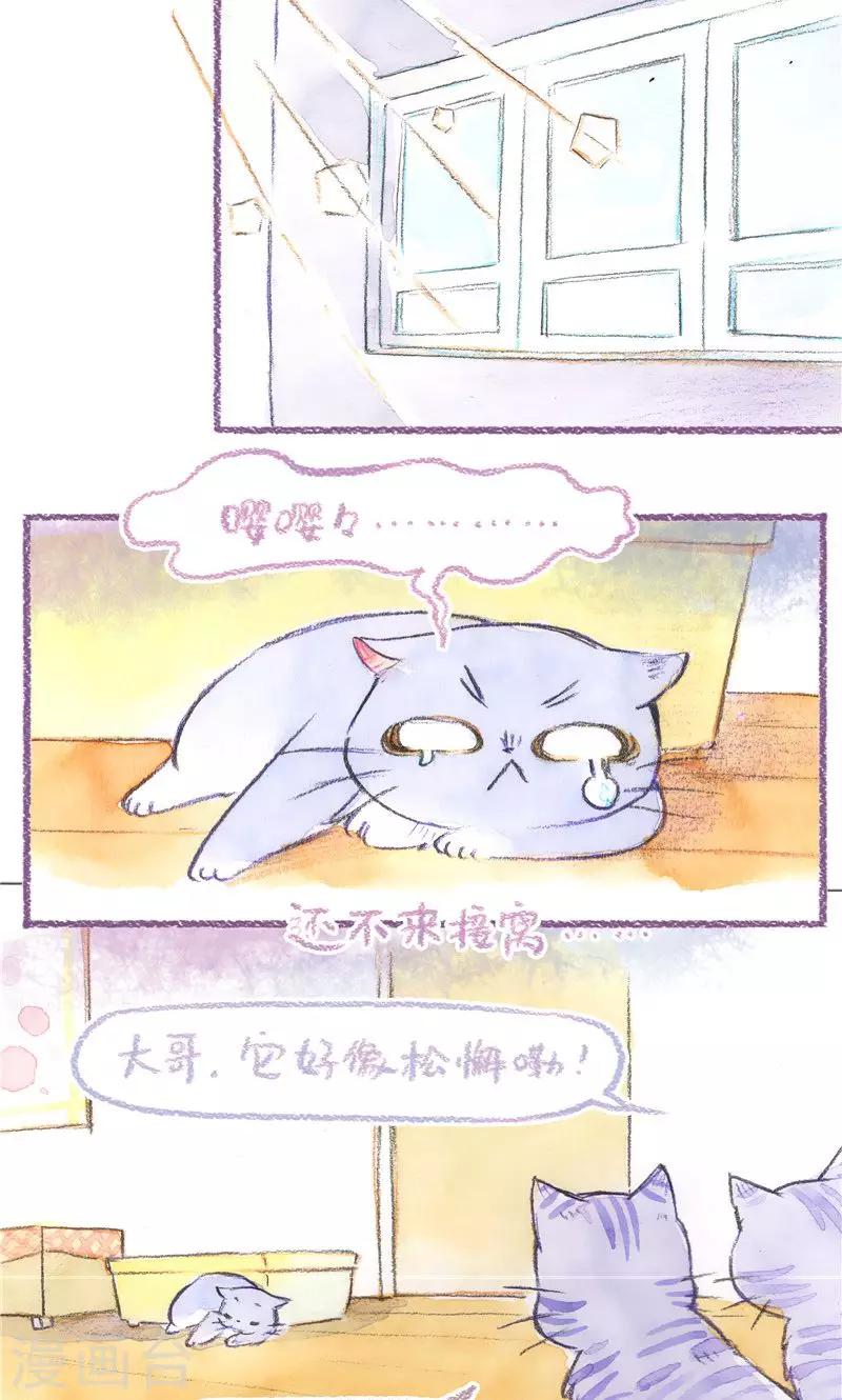 第77话 地缚灵怕丢-第84话