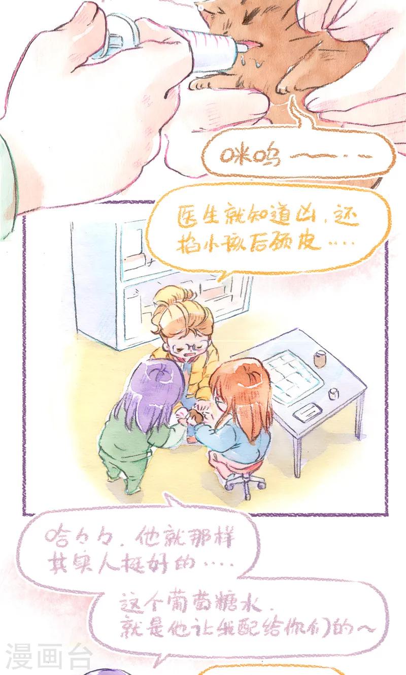 第81话 生命的重量-第88话