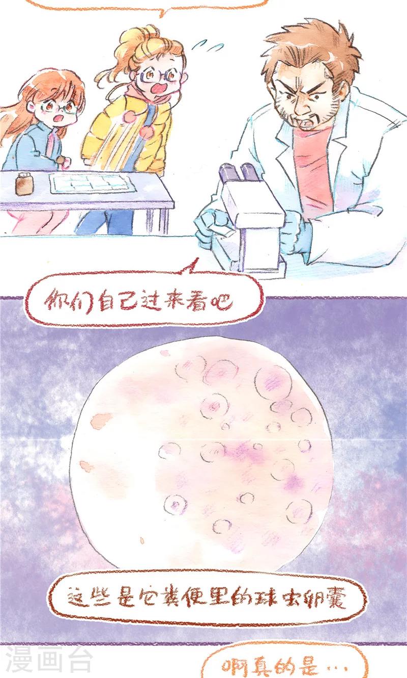 第81话 生命的重量-第88话