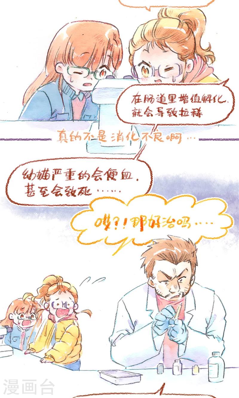 第81话 生命的重量-第88话