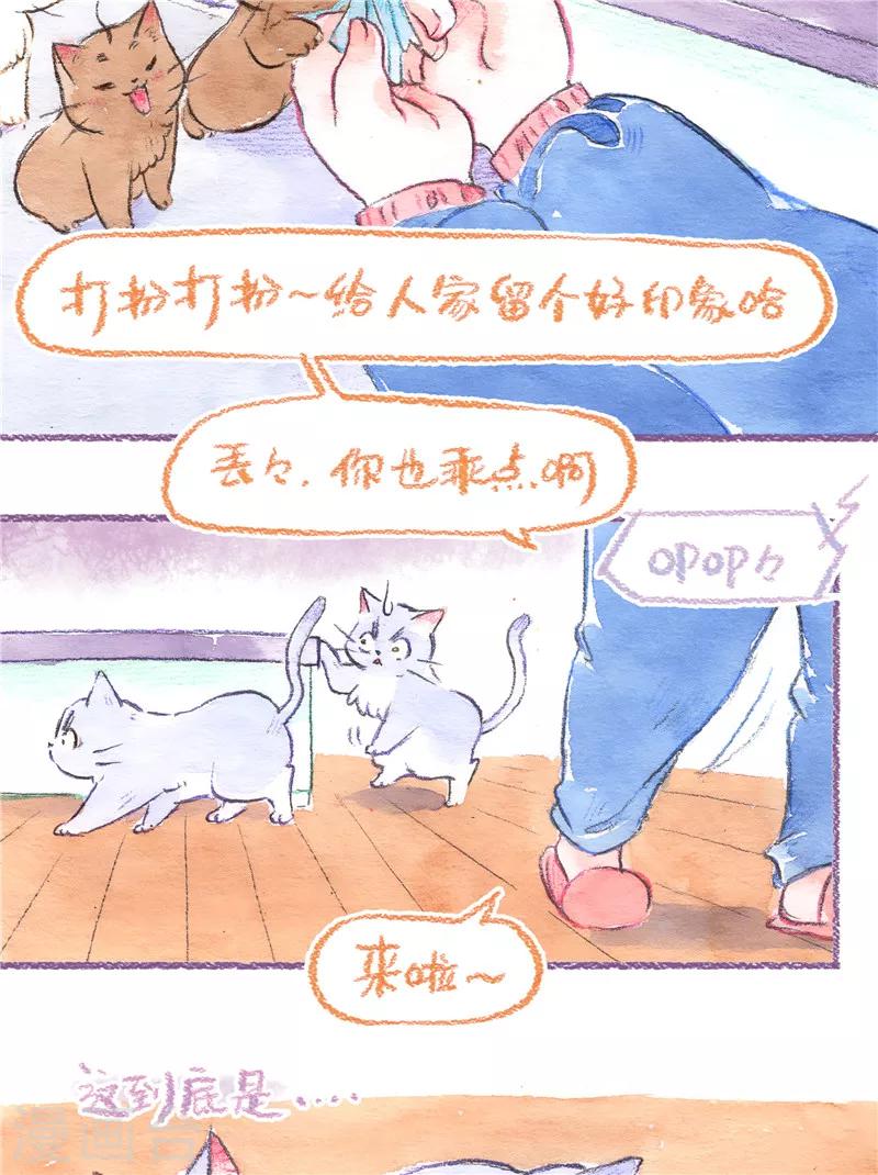 第84话 新的开始-第92话