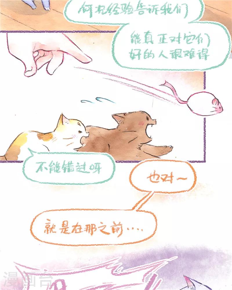 第84话 新的开始-第92话