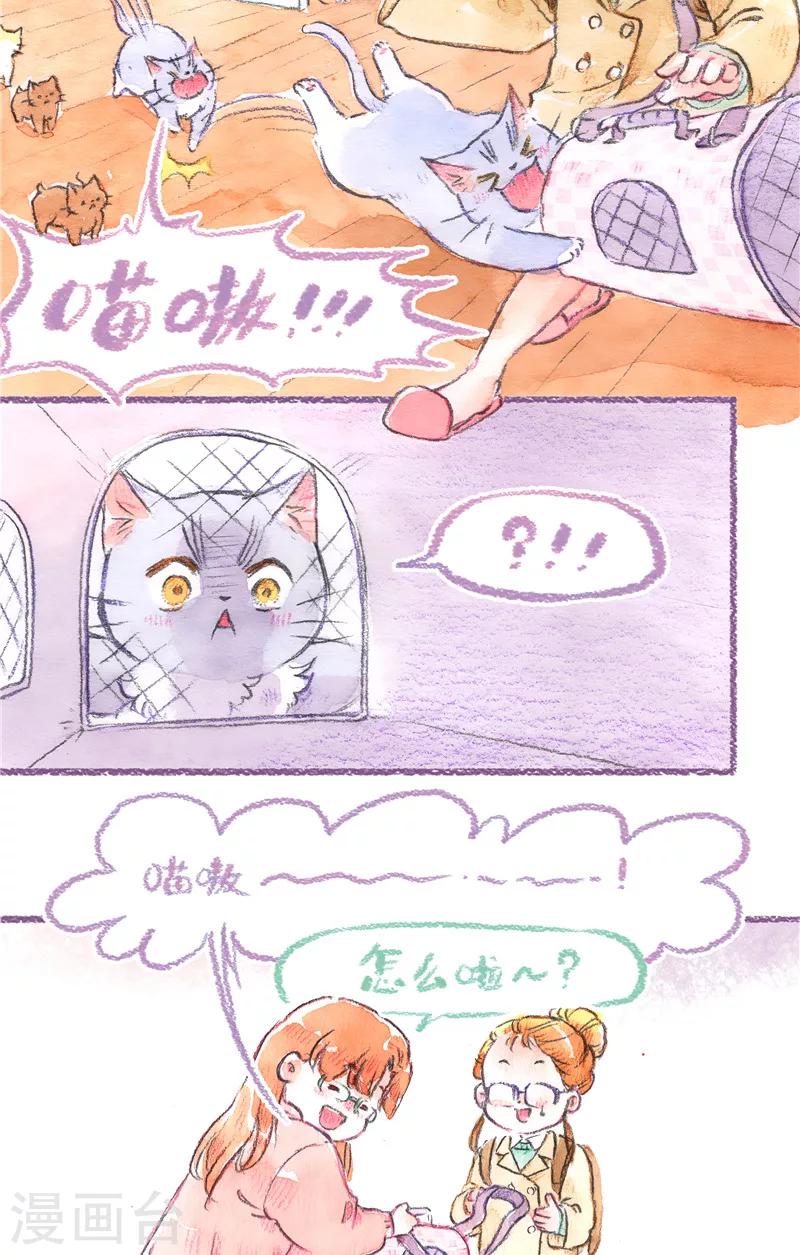 第92话 理想归宿-第100话