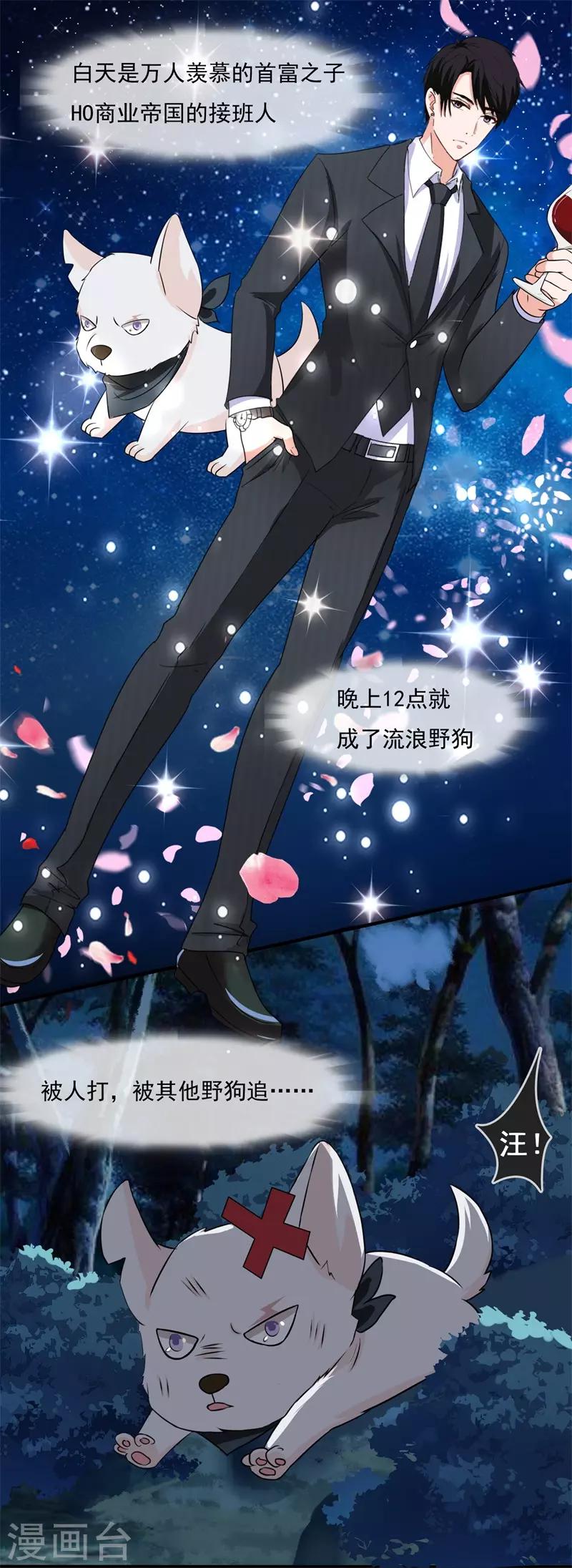 第50话 腹黑总裁小野狗1(1/2)-第50话