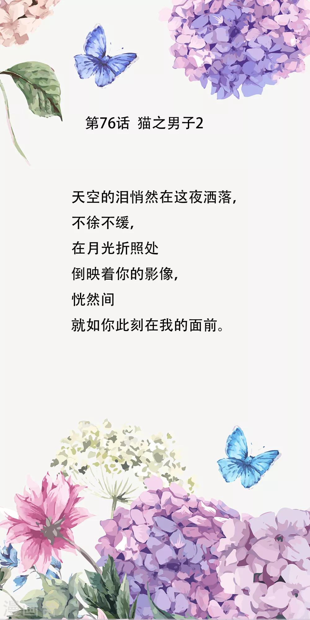 第76话 猫之男子2(1/2)-第76话