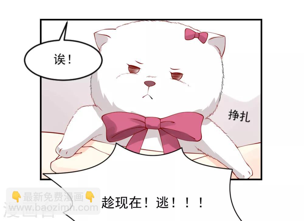 第10话 宠物恋人2(1/2)-第10话