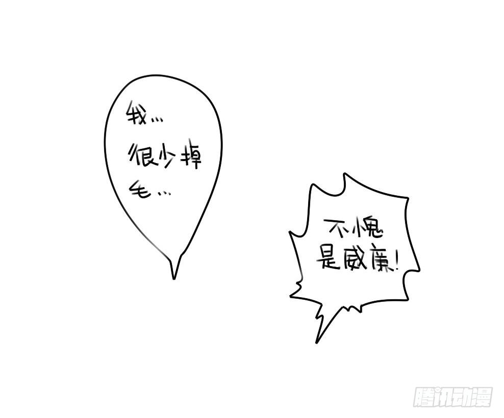 14、威廉~喜欢我送你的礼物吗~-第14话