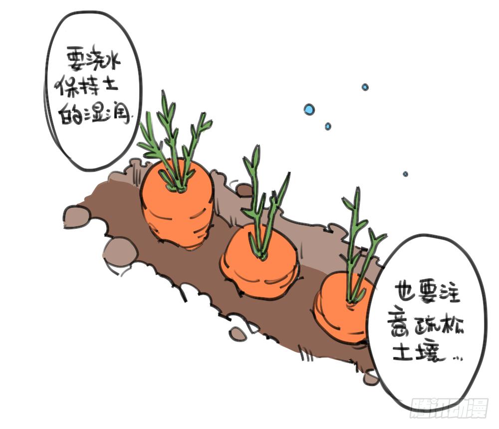 24、哇&hellip;本兔真是太惨了&hellip;太惨了-第24话