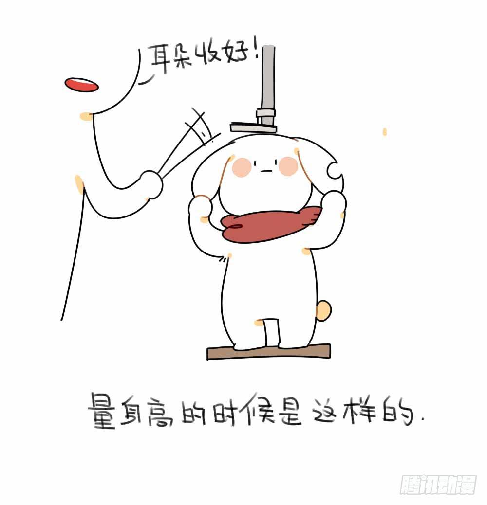 46、小兔子们的生活有很多地方和-第46话