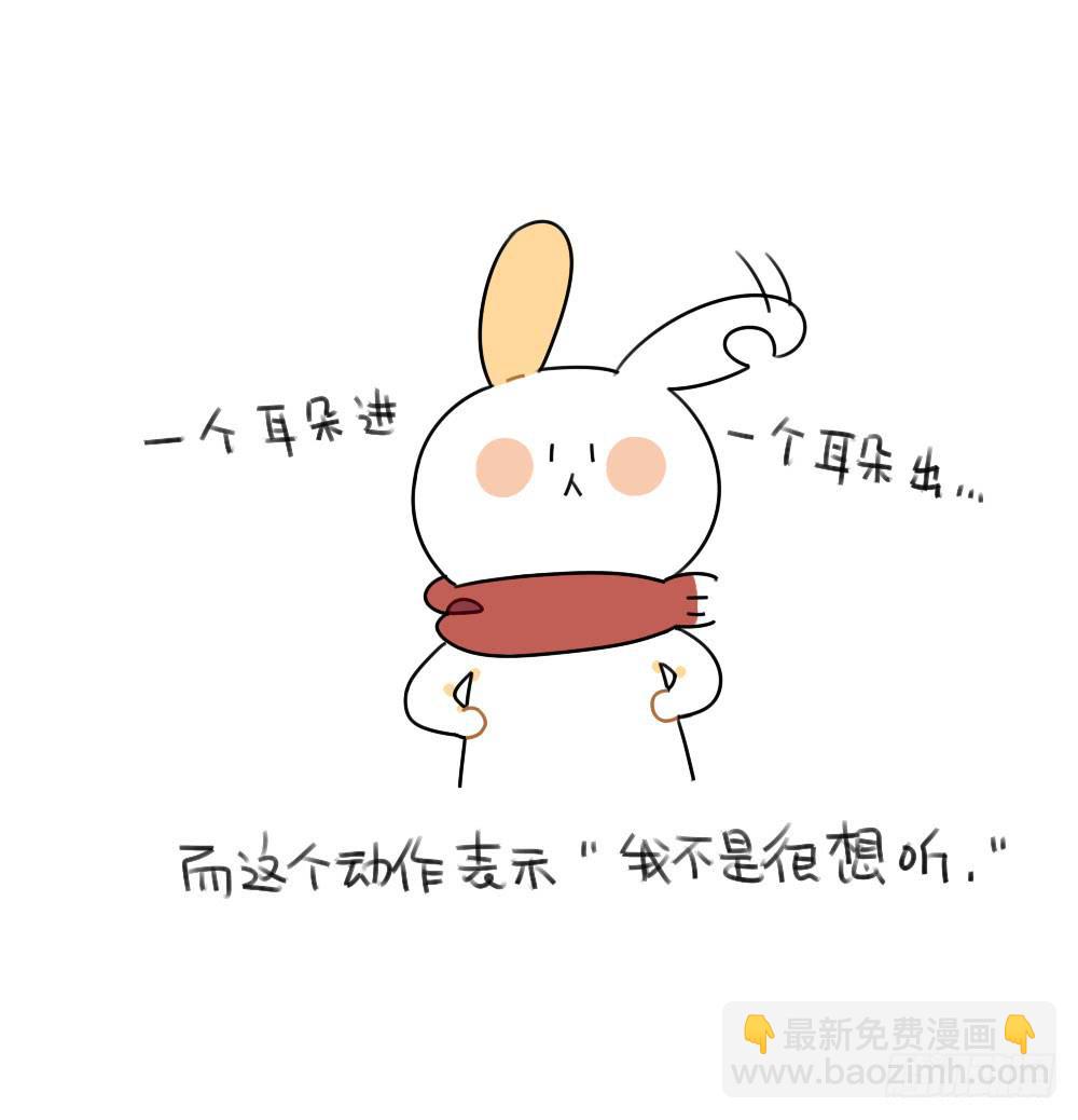 46、小兔子们的生活有很多地方和-第46话