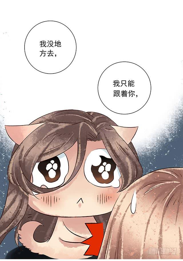 你追我赶，不亦乐乎(1/2)-第2话